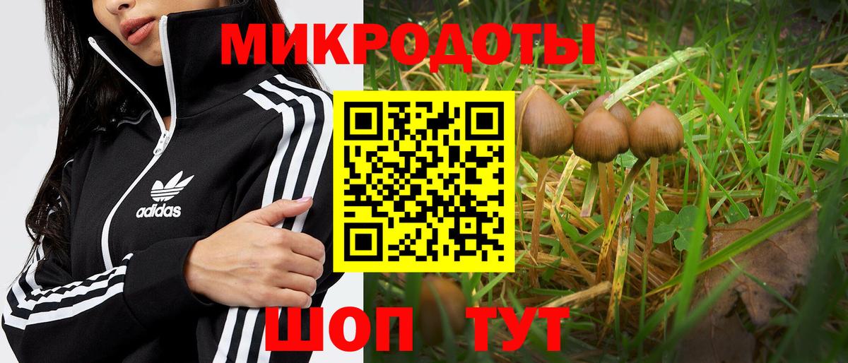 Псилоцибиновые грибы мицелий  Галлюциногенные грибы ЛСД  Вход с VPN  Алатырь 