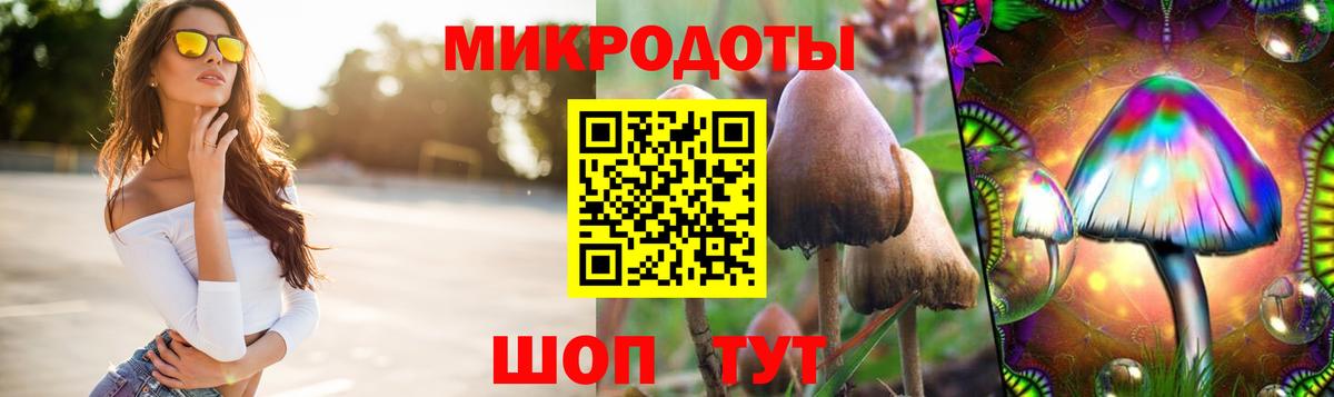 Псилоцибиновые грибы мицелий Алатырь