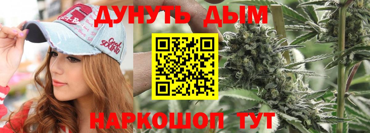 Каннабис сатива  Вход с VPN  Алатырь  Бошки марихуана семена 